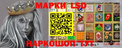 крисы Моздок