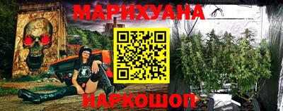 крисы Моздок