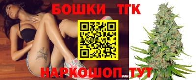 крисы Моздок