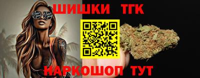 крисы Моздок
