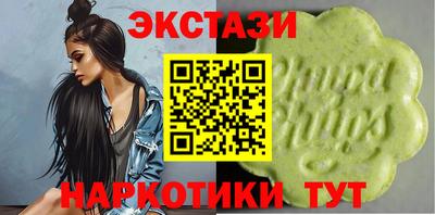 крисы Моздок